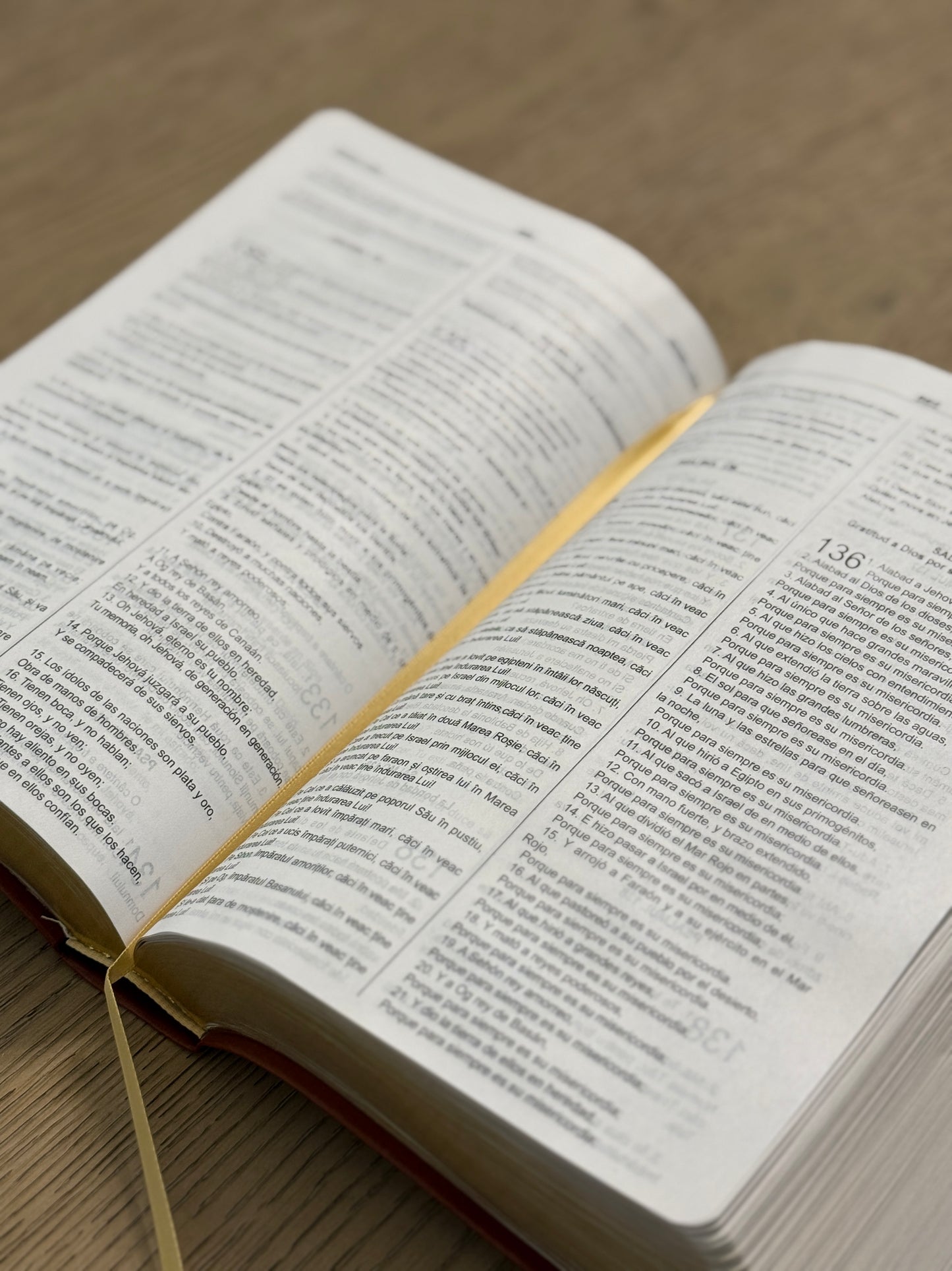 Spanish Romanian Bilingual Bible