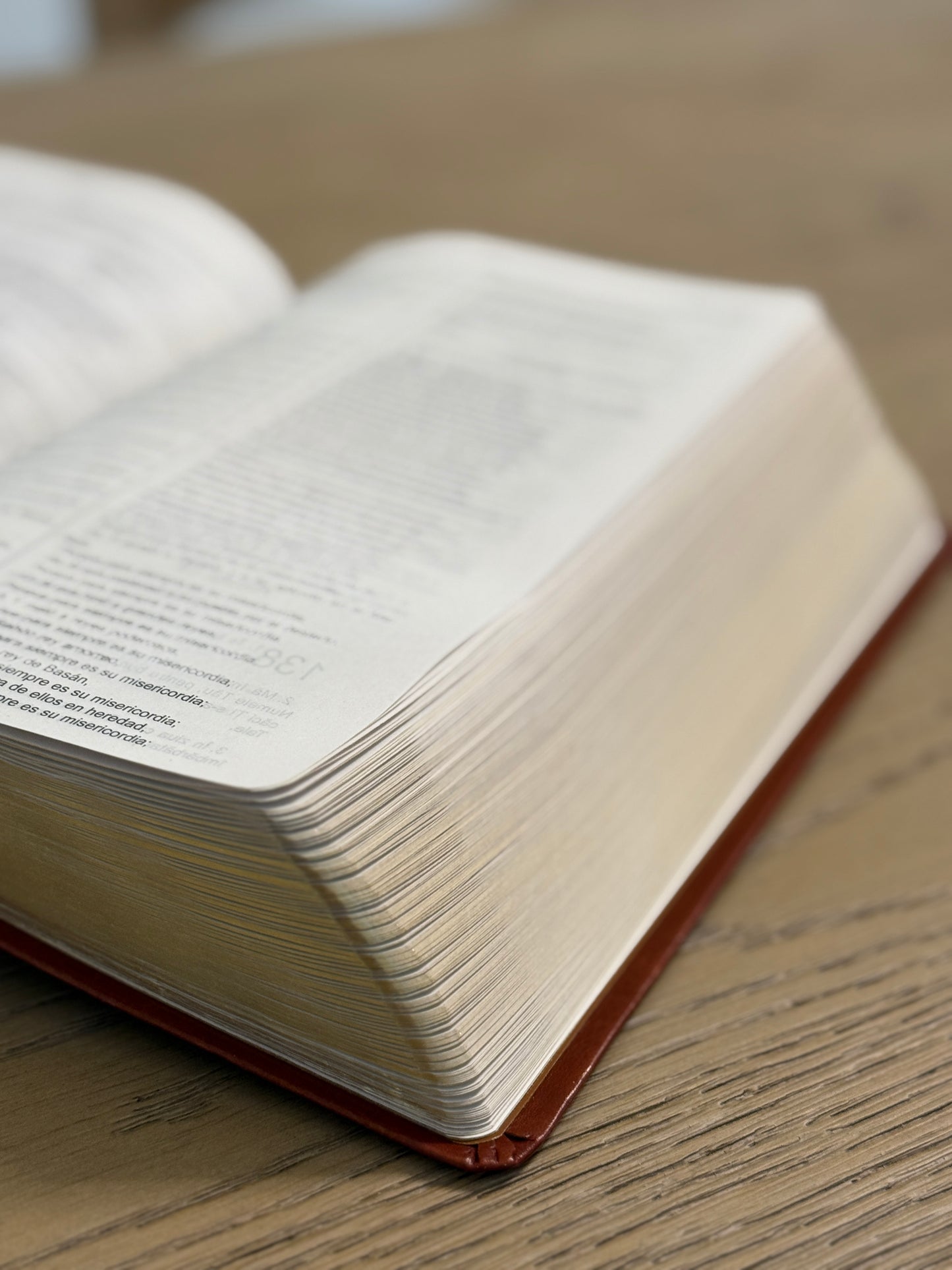 Spanish Romanian Bilingual Bible