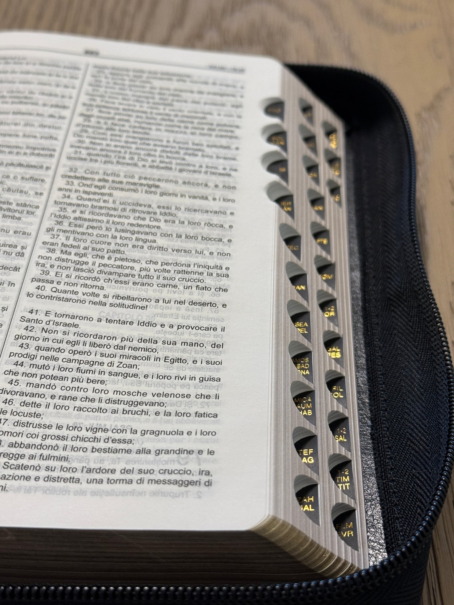 Romanian/Italian Bible with Zipper